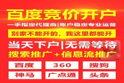 百度推广案例：精准广告投放策略解析